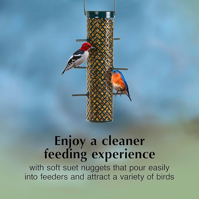 C&S Hot Pepper Suet Nuggets, Outdoor Wild Bird Food for Woodpeckers, Chickadees, Cardinals, Nuthatches and More, 27 Ounces