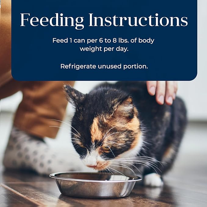 Blue Buffalo Basics Grain-Free Adult Wet Cat Food, Skin & Stomach Care, Limited Ingredient Diet, Turkey Recipe, 5.5-oz Can, 24 Count