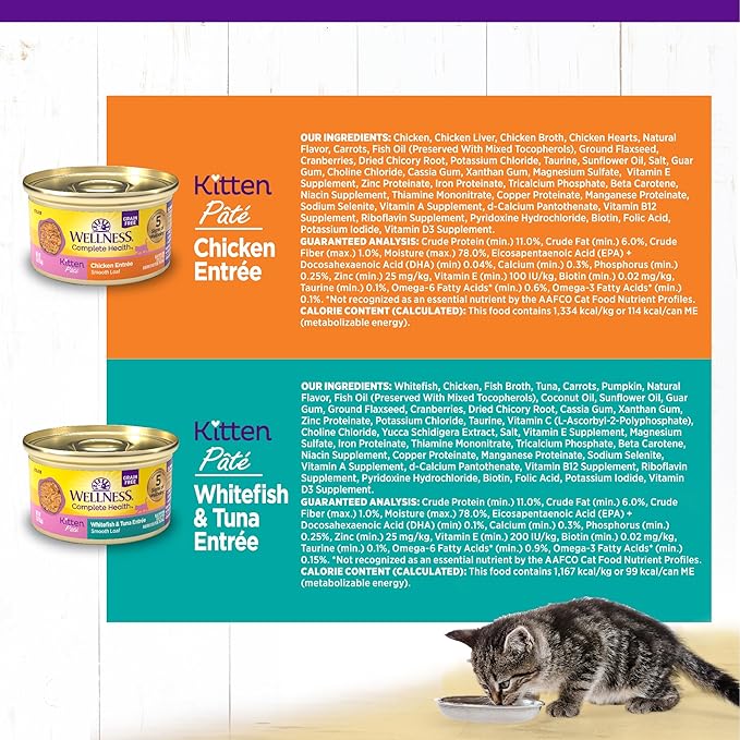Wellness Complete Health Pate Variety Pack Kitten Canned Wet Cat Food, Natural, Protein Rich, Grain Free, Whitefish and Chicken Recipes, 3 oz, Pack of 12 Cans