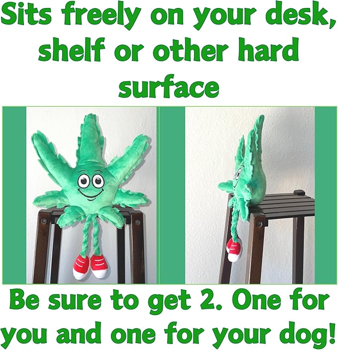 My Name is MJ, Cute Stuffed Parody Marijuana Leaf Dog Toy, Funny Squeaky Weed Toy, Cool Plush Novelty 420 Gift for Puppies & Small, Medium & Large Breeds, for Fetch & a Photo Prop, Shelf-Sitter