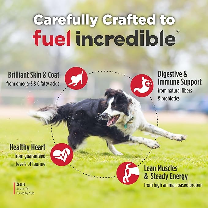 Nulo FreeStyle Adult Dry Dog Food - Salmon & Peas, Premium Grain Free Dog Food with Probiotics for Healthy Gut, Skin and Coat, Natural, High Protein Kibble for Small, Medium and Large Breeds, 6lb Bag