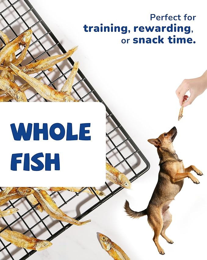 PAWUP Dried Whole Fish Dog Treats, High Protein & Omega-3 for Skin & Coat, Training Rewards for Small & Medium Dogs, Grain Free, 8 oz