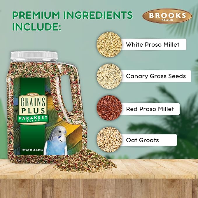 Brooks Brand Grains Plus Parakeet Blend, Bird Food Parakeet Bird Seed, Seed Mix, Millet for Budgie Seed (4.5 lbs Jug)