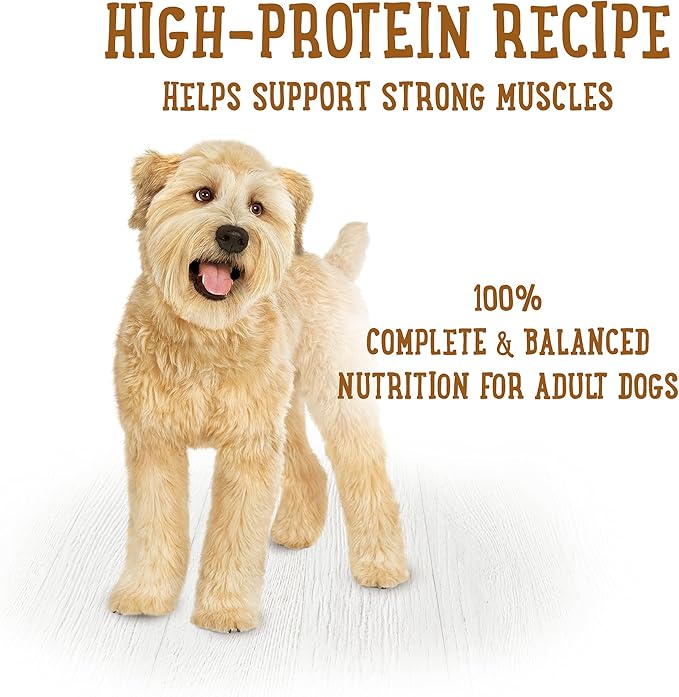 Beneful Purina Dog_Food Fresh, High Protein Wet_Dog Food, Dog Food_Gravy, Lamb Stew with Vegetables - 10 oz. Tubs, 8 Count (Pack of 2)