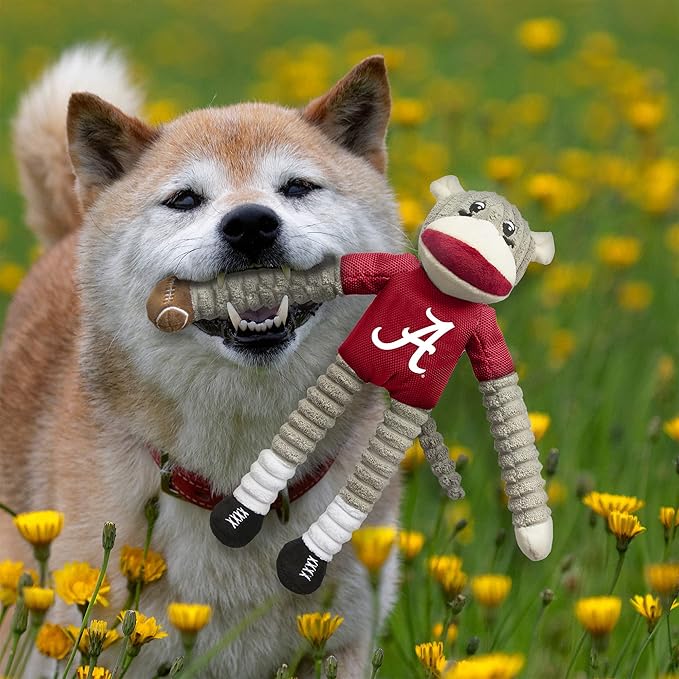 Littlearth NCAA Unisex NCAA Sock Monkey and Flying Disc Pet Toy Combo Set