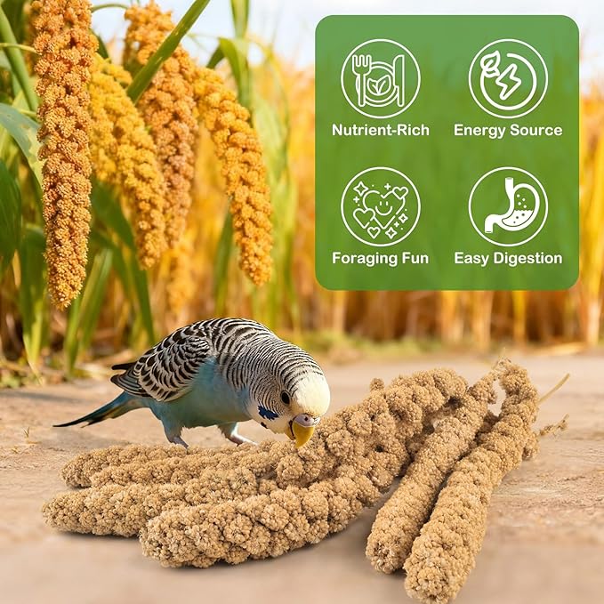 ERKOON 1.5LB Spray Millet Treat, All Natural Sun-Dried Healthy Treat Parrot Food Bird Snack for Parakeets, Lovebirds, Cockatiels, Finches, Budgies, Canaries Hamster, Bird Food Bulk