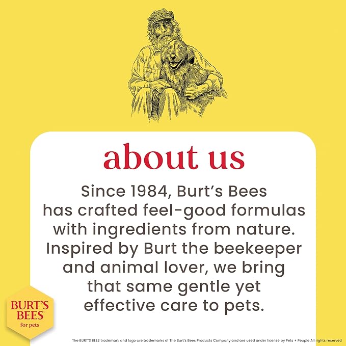 Burt's Bees for Pets Tearless Kitten Shampoo with Buttermilk and Honey, 99% Natural Origin Gentle Cat Shampoo for Sensitive and Itchy Skin, pH Balanced and Fragrance-Free, 10 Fl Oz - 2 Pack