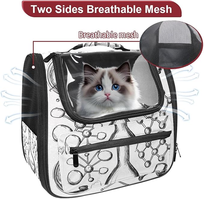 Chemistry Science Doodle (2) Pet Carrier Airline Approved Soft Sided Portable Cozy Travel Pet Bag, Car Seat Safe Carrier for Cats and Dogs