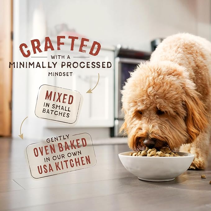 Stella & Chewy's SuperBlends Raw Blend Wholesome Grains Wild-Caught Whitefish & Salmon Recipe with Superfoods, 21 lb. Bag