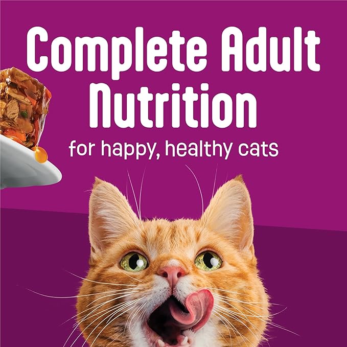 Purina Friskies Glaz’d and Infuz’d with Gravy Glaz’d Chicken Wet Food for Cats - 5.5 Ounce (Pack of 24)