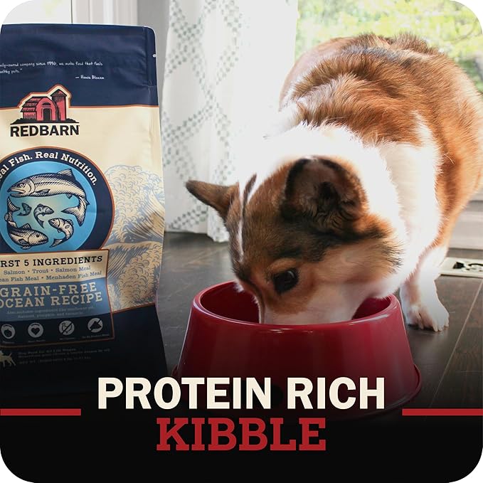 Redbarn Grain-Free Adult Dry Dog Food Kibble - Ocean Fish Recipe - Made in USA No Chicken Recipe with Functional Ingredients to Support Healthy Heart, Skin, Coat, Immunity & Digestion - 4lb