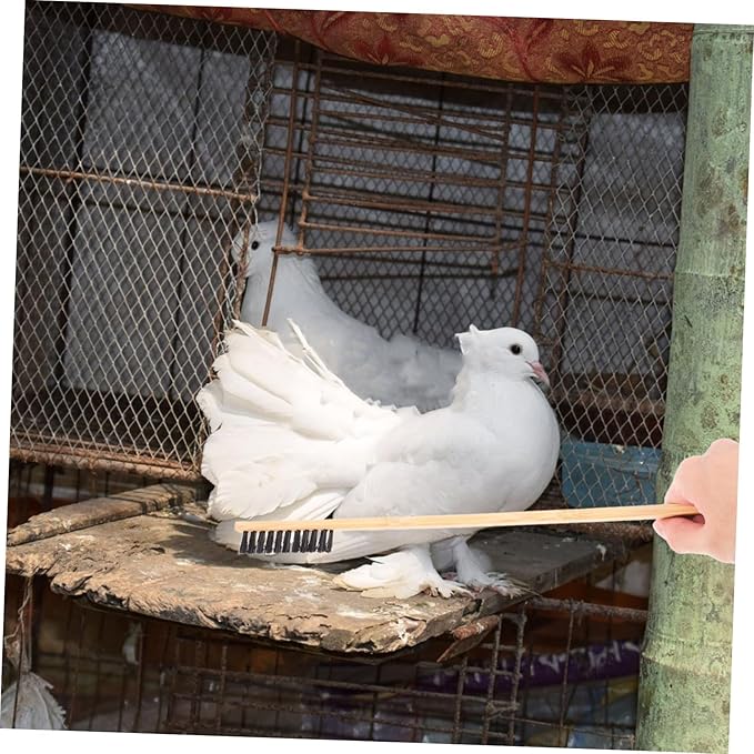 balacoo 2pcs Multi-Purpose Bird Cage Cleaning Tools Brush Shovel Set for Parrot Bird Guinea Cages Garden Cleaning Shovel