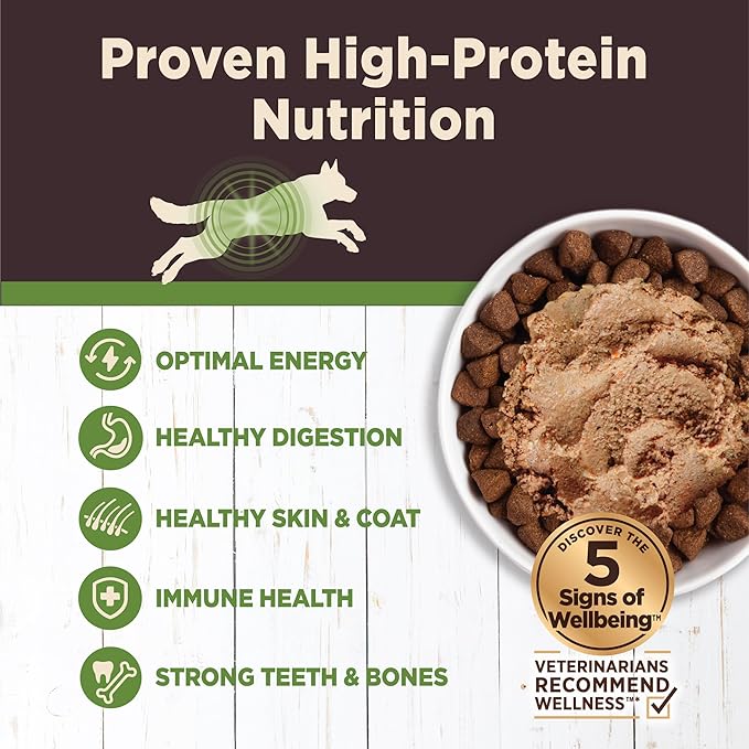 Wellness CORE Digestive Health Pate Adult Canned Wet Dog Food, Grain Free, Sensitive Stomach, Natural, Lamb Recipe, 13 oz, Pack of 12 Cans