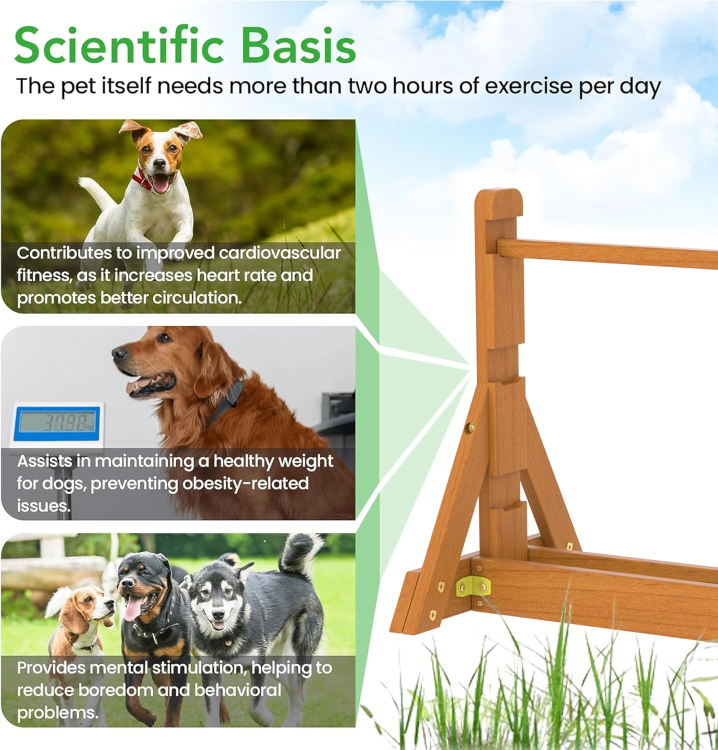 Dog Agility Set, Wooden Dog Agility Jumps & Dog Hurdles,Dog Agility Equipment, Dog Agility Course,Dog Agility Course Backyard Set,Obstacle Course for Dogs,Dog Hurdles Training Equipment