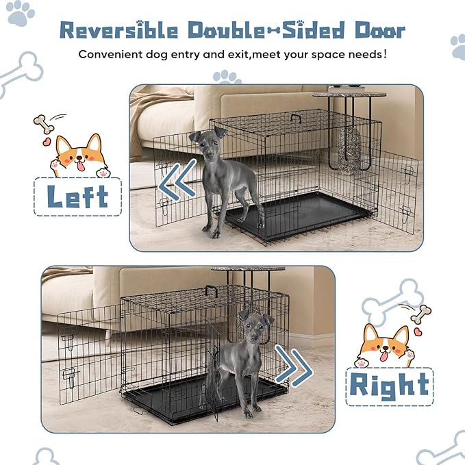 DUMOS Dog Crate, 36 Inch Medium Double Door Dog Cage with Plastic Leak-Proof Pan Tray, Folding Metal Wire Pet Kennel for Indoor, Outdoor, Travel