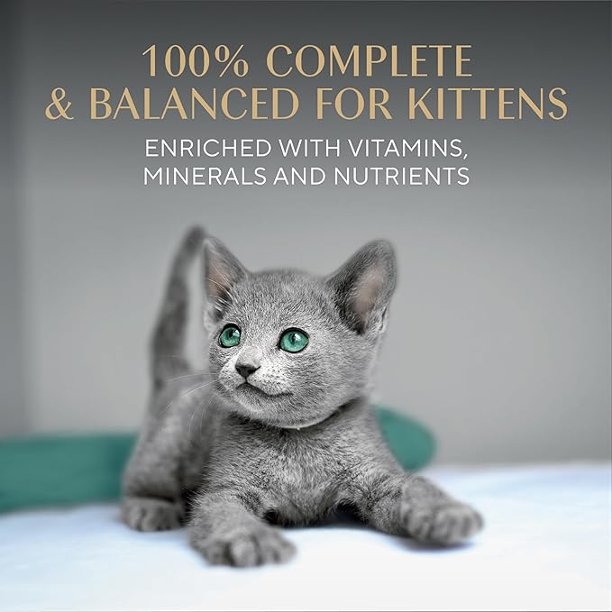 Sheba Perfect Portions Kitten Wet Food, Pate Cat Food Wet Entree, Chicken Recipe, 2.6 oz. Twin-Pack Trays (24 Count, 48 Servings)