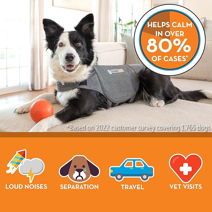 ThunderShirt for Dogs, Large, Heather Gray Classic - Dog Anxiety Relief Calming Vest