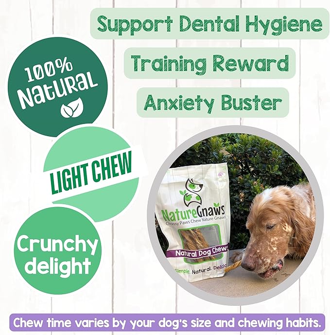 Nature Gnaws Tripe Twists for Dogs 4-5" (20 Count) - Crunchy Grain Free Reward Snack for Small, Medium & Large Breeds - Natural Beef Dog Chew Treats - Rawhide Free