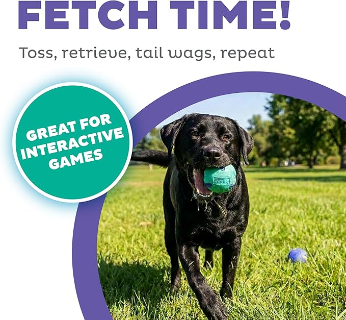 Outward Hound FlyFetch Rubber Fetch Ballz Dog Toy, Bounces & Floats, Launcher Compatible, 2.6", 2-Pack