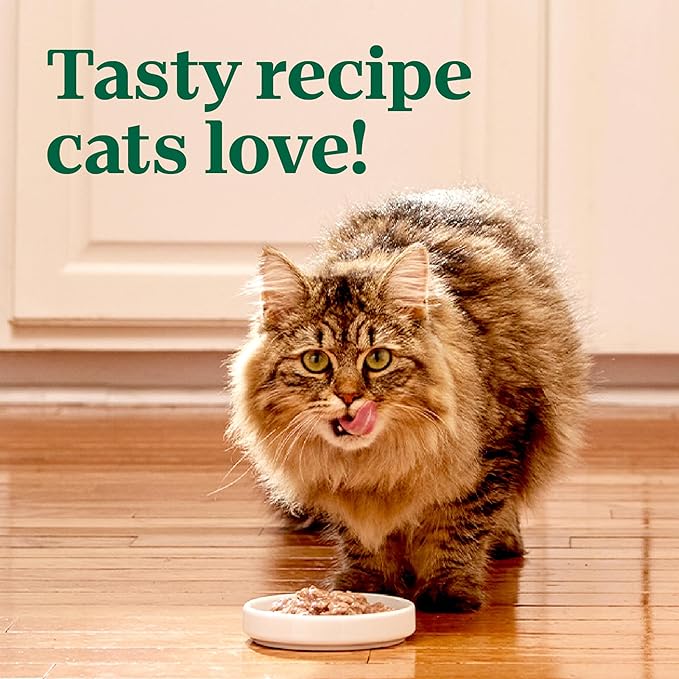 Nutro Perfect Portions Wet Cat Food Cuts in Gravy Turkey Recipe, Cat Food Wet Recipe, 2.64 oz. Twin-Pack Trays (24 Count)