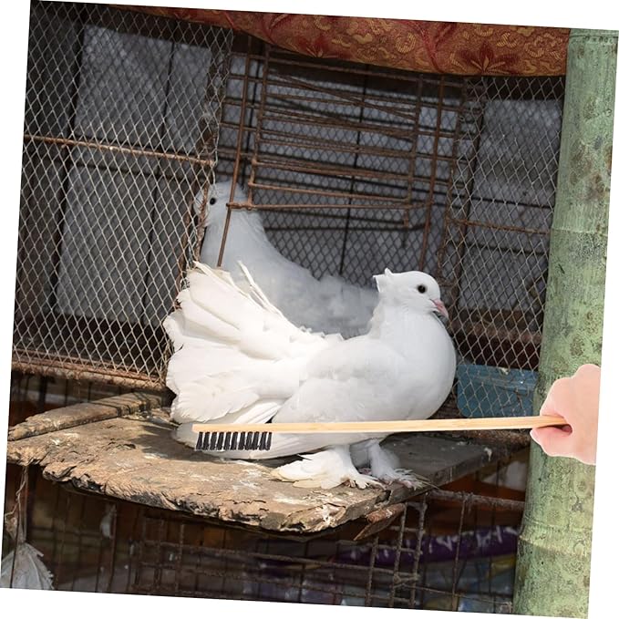 Luxshiny 2Pcs Bird Cage Cleaner Brush Set Versatile Cleaning Tools for Small Animal Cages Includes Droppings Shovel Brush Durable for Pet Bird Supplies