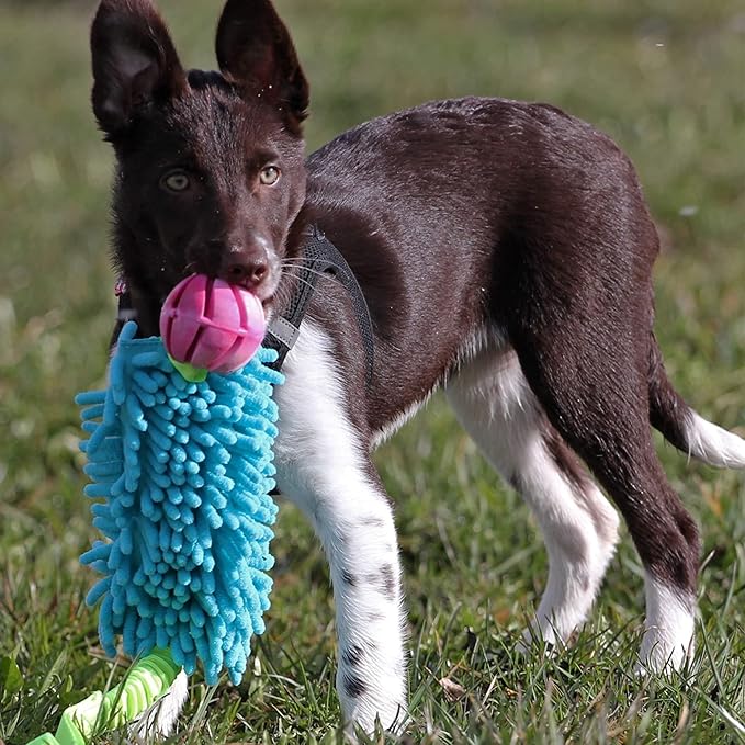 Dingo tug Toy for Dog, for Outdoor Indoor Play and tug of war, Bungee Handle, Soft Shaggy Nubby Like Plush Noodle and TPR Rubber Ball, Blue 15587