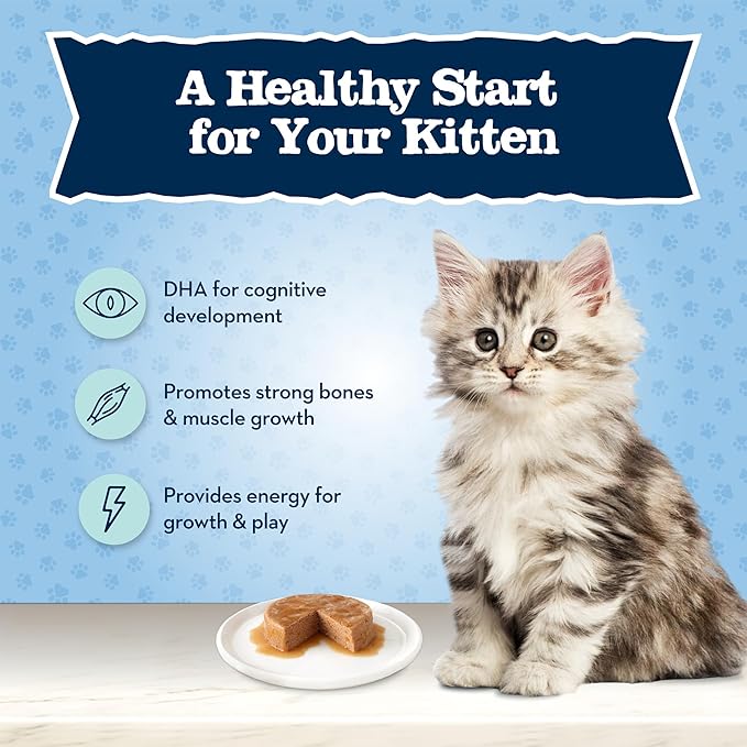 Blue Buffalo Baby BLUE Natural Grain-Free Wet Food for Kittens, Healthy Growth Formula with DHA, High-Protein Salmon Pate, 3 Ounce (Pack of 24)