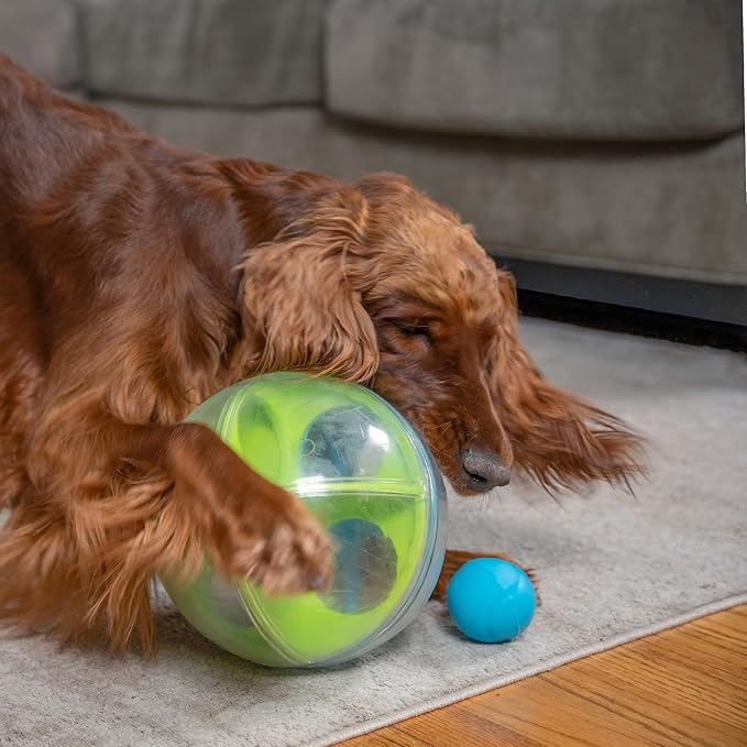Outward Hound by Nina Ottosson A-Maze Ball Dog Treat Puzzle Ball, Level 2 Intermediate, 8.46" Diameter, Green