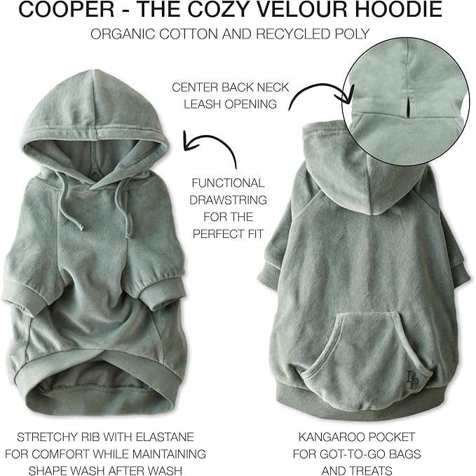 Pet Passion Cooper II Organic Cotton Velour Dog Hoodie Pet Coat for Small, Medium and Large Dogs, Sage, X-Small (5-12 lbs)