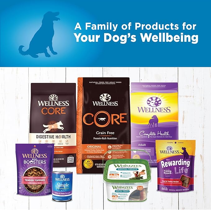 Wellness Simple Limited Ingredient Diet Adult Canned Wet Dog Food, Wholesome Grains, Natural, Turkey and Potato Recipe, 12.5 oz, Pack of 12 Cans