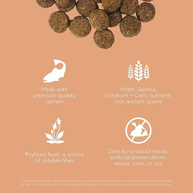Go! Solutions Digestion + Gut Health Salmon Dry Dog Food, Premium Chicken-Free Kibble for Gastrointestinal & Digestive Wellness, Supports Sensitive Stomachs, for Puppies, Adults & Seniors, 3.5 lb Bag