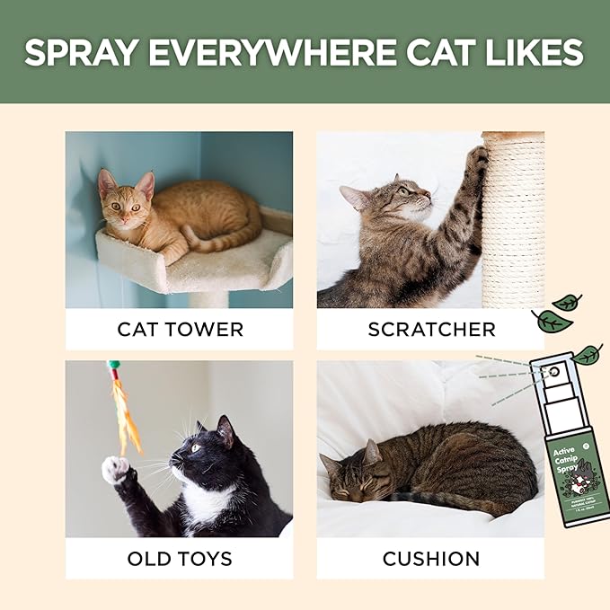 JAYU PET Active Catnip Spray - High Potency Transparent Liquid Spray Made of Fresh Organic Catnip for Indoor Cats and Kittens, Relieves Stress, Calming, Revives Toys (1fl oz) (Catnip Spray, 1fl oz)