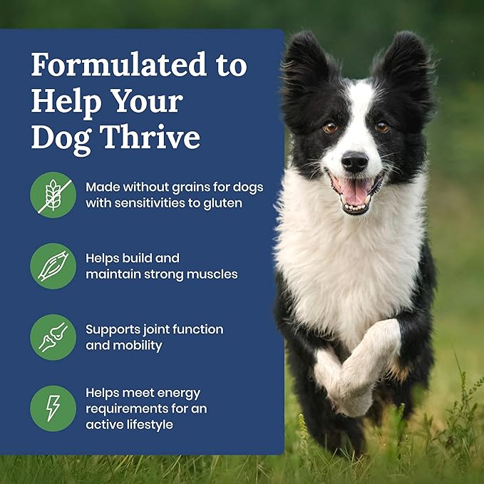 Blue Buffalo Life Protection Formula Natural Grain Free Adult Dry Dog Food, with Lamb and Potatoes, 24 lb. Bag