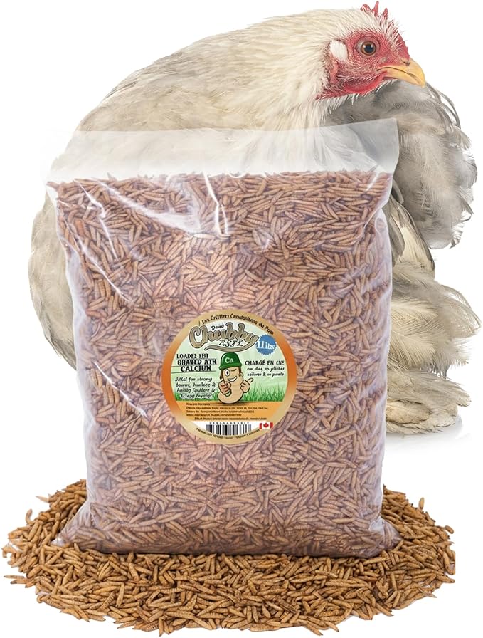 Chubby Dried Black Soldier Fly Larvae | 11 lbs | Non-GMO High-Protein Insect Treat for Chickens, Ducks & Wild Birds – Calcium-Rich Chicken Feed