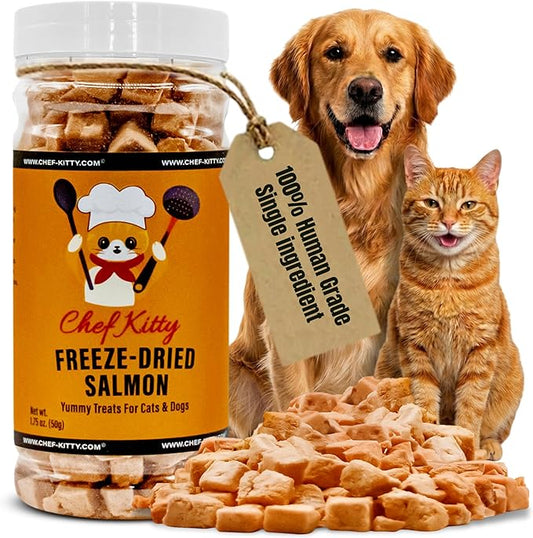 Freeze Dried Salmon Cat Treats | 100% Wild Caught Salmon Dog Treats, Grain- Free | High Protein, Single Ingredient Cat & Dog Food Toppers | No Additives or Preservatives | Tested in USA | 1.4 oz