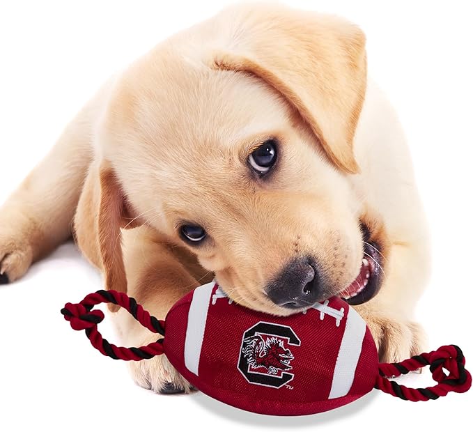 Pets First NFL Unisex NFL Nylon Football