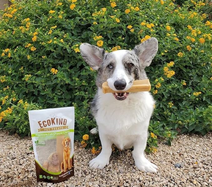 EcoKind Yak Cheese Himalayan Dog Chews, Yak Chews for Large Dogs, Long Lasting Bone for Aggressive Chewers, 3 Ingredients, Natural High Protein Treats, No Additives, Lactose Free, Large - 4 Pack