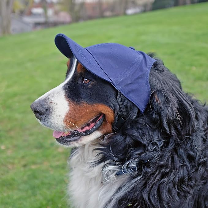 Littlearth NFL Chicago Bears Pet Baseball Hat, Team Color, Medium