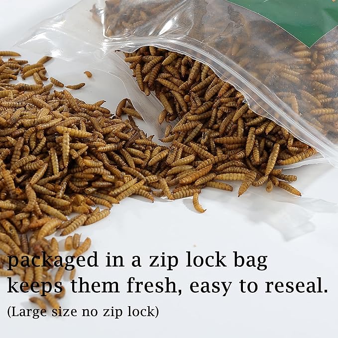Non-GMO High-Protein Large Dried Black Soldier Fly Larva for Chickens, Natural Grubs and Poultry Treats as Chicken Feed,Duck Food, Wild Birds Seed,Reptile Food(Black Soldier fly-2LB)