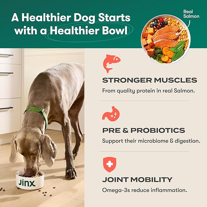 Jinx Premium Grain-Free Dry Dog Food, for All Lifestages - Real Salmon, Sweet Potato & Carrot Puppy Kibble with Superfoods for Immune Support & Probiotics for Digestive Support - No Fillers - 4lb