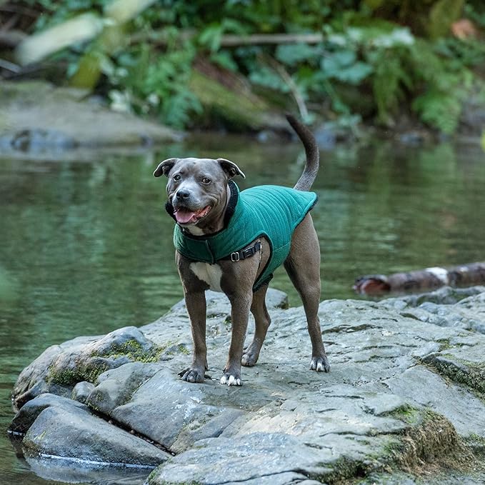 Furhaven Reversible Medium Dog Coat, Washable & Insulating w/ Leash Access - Faux Fur & Quilted Fleece Flex-Fit Jacket - Black/Green, Medium