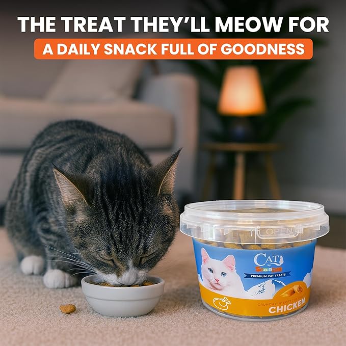 Scoochie Pet Cat by Scoochie – Chicken Flavored Cat Treats, Crunchy Outside & Creamy Inside, 3 | 8.8 oz Tubs