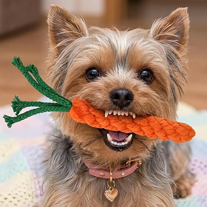 Handmade Braided Carrot Shape Chew Toy, Orange with Green Leaves, Durable Pet Dental Toy (2-Piece Set)