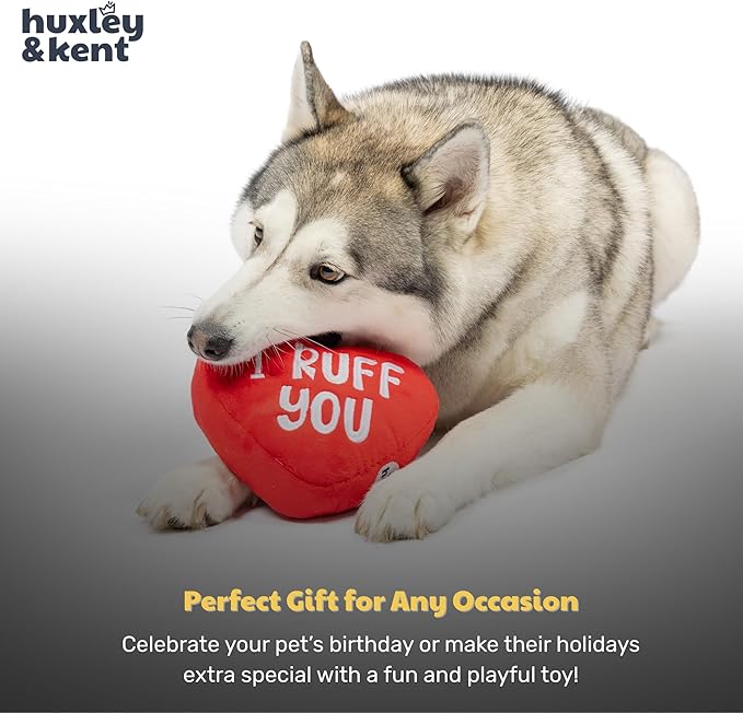 Huxley & Kent Funny Dog Toy w/Squeaker – Valentine's Day Power Plush Squeaky Dog Toys for Small, Medium & Large Dogs – Soft Stuffed Animal for Indoor Play & Fetch - First Lick Heart, Large
