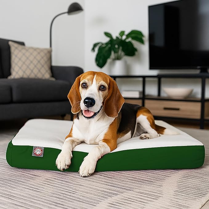 Majestic Pet 34x24x3 Inch Green Orthopedic Memory Foam Rectangle Dog Bed – Medium Size Crate Dog Bed for Dogs with Joint Pain, Arthritis – Durable Pet Mattress with Egg Crate Foam, Washable Cover