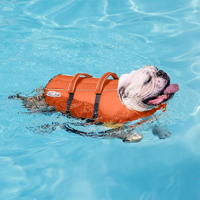 Outward Hound Granby Splash Orange Dog Life Jacket, XS