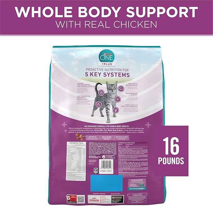 Purina ONE Plus Whole Body Support with Chicken Dry Cat Food - 16 lb. Bag