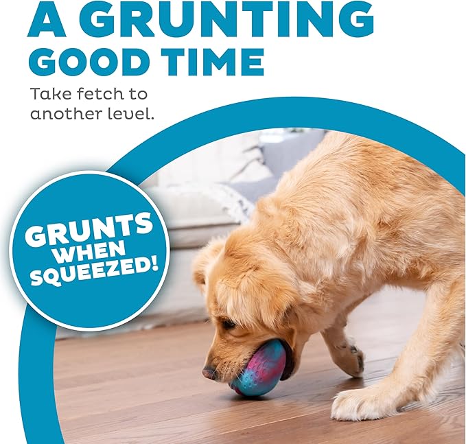 Outward Hound Grunt N' Punt Football Dog Toy - Throwing, Fetching Fun (Pack of 2)
