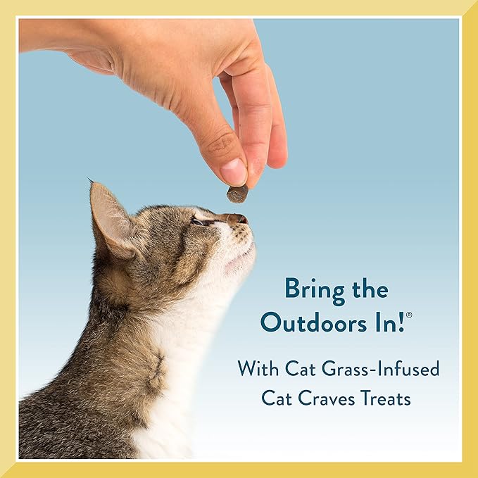 Pet Greens 3 Pack of Semi-Moist Cat Craves Tuna Flavored Treats, 3 Ounces Per Pack (3 Pack Deep Sea Tuna)