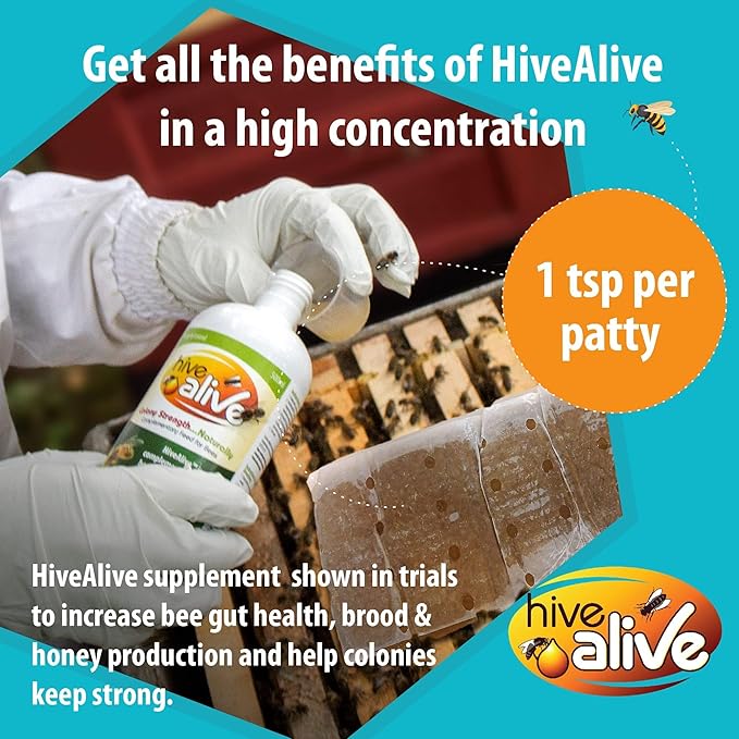 HIVE ALIVE Pollen Patty for Honey Bees – 10lb (10x1lb) Pollen Patties and Bee Food for Spring with 15% Real USA Pollen, Seaweed and Amino Acids to Support Brood and Colony Health